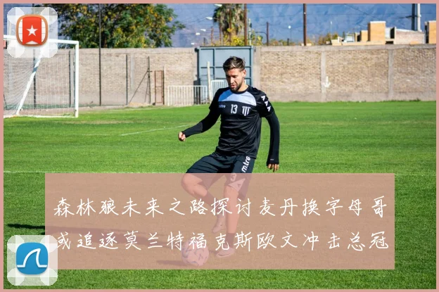 森林狼未来之路探讨麦丹换字母哥或追逐莫兰特福克斯欧文冲击总冠军